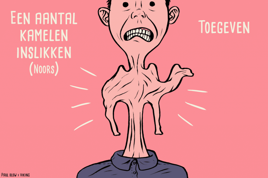 Noorse uitdrukking vertaald naar het Nederlands