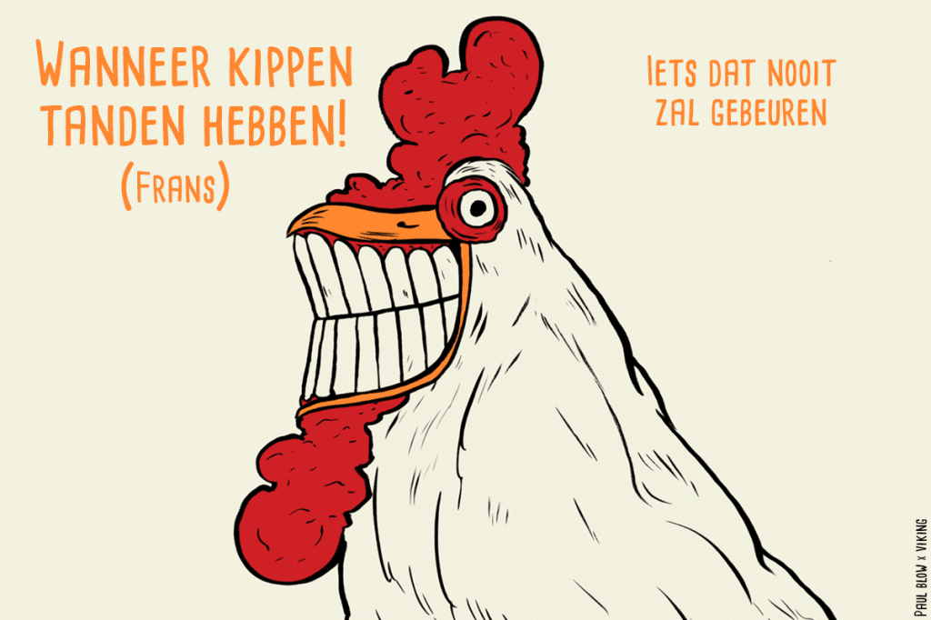 Franse uitrdukking vertaald naar het Nederlands