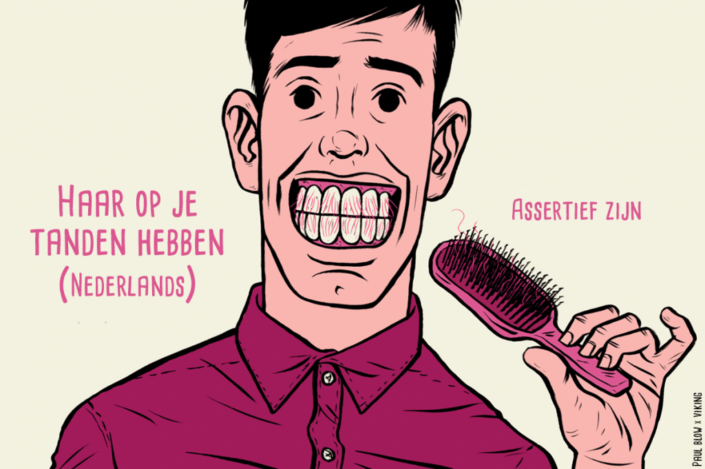 Nederlandse uitrukking geillustreerd